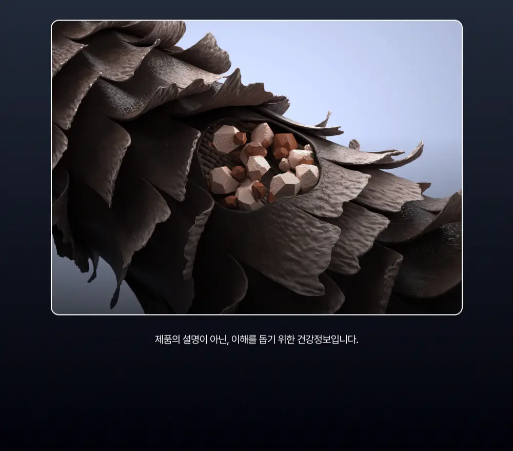[1회 만에 손상모 개선] 프롬랩스 단백질 흡착 샴푸 500ml (노설페이트) 상세페이지 12